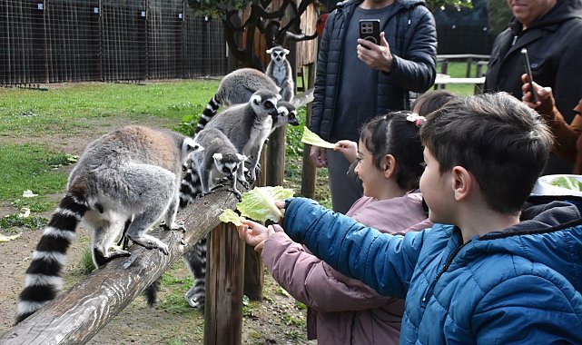 Engelli çocuklar, lemurlarla tanıştı