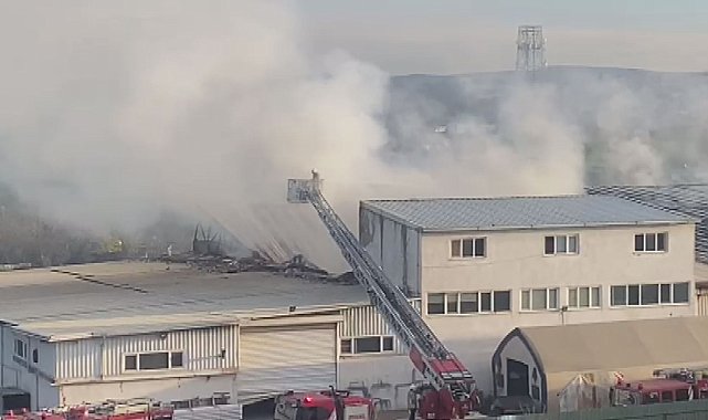 İstanbul- Tuzla'da fabrika yangını- 2 Ek görüntü