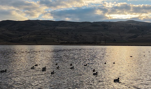Kuruyunca kuşların da terk ettiği göl, yağışlarla yeniden 'hayat' buldu