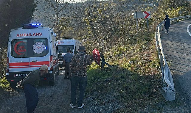 Otomobil fındık bahçesine uçtu; anne ve kızı yaralandı