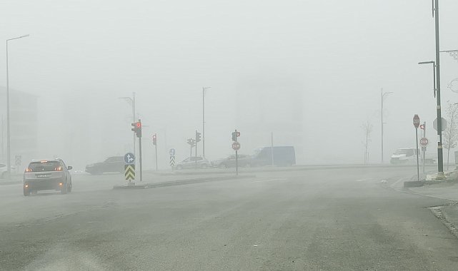 Sivas'ta yoğun sis