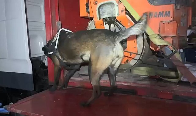 TIR'a yüklü asfalt silindir makinesine gizlenmiş 102 kilo metamfetamin ele geçirildi