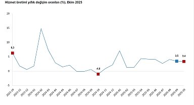 TÜİK: Hizmet üretim endeksi ekimde yıllık yüzde 3,4 arttı