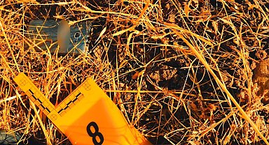 11 yıllık cinayeti jandarmanın kurduğu özel ekip çözdü