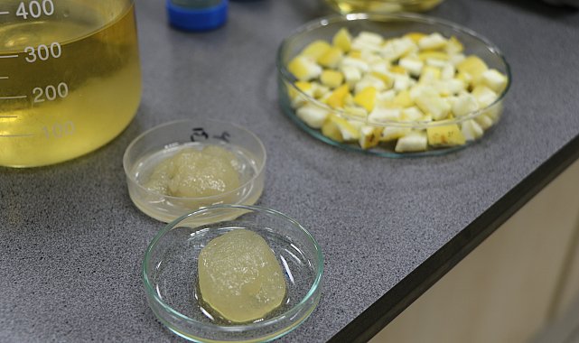 Ağaç kavunu kabuğundan 'süper emici hidrojel' geliştirdiler