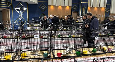 Ankara'da güvercin festivali