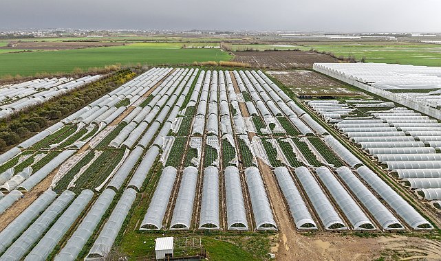 Antalya'da peş peşe hortumlar; seralar yıkıldı, çatılar uçtu