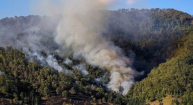 Avustralya'da orman yangınları devam ediyor
