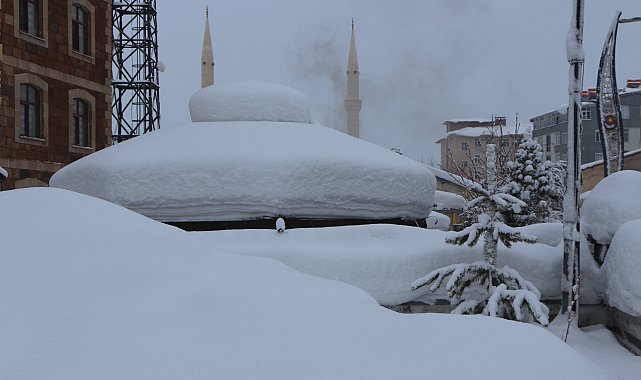Bingöl'de 219 köy yolu ulaşıma kapandı