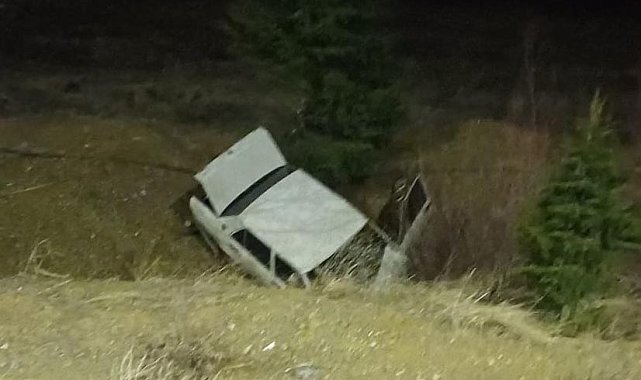 Domuza çarpan otomobil, şarampole yuvarlandı; 1 ölü