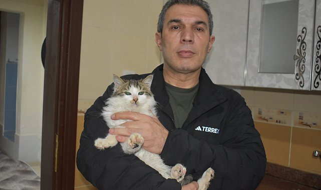 Dondurucu soğukta apartmandaki dairesini kedilere açtı