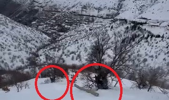 Eğimli arazide işçiler, karda kayan direkle birlikte sürüklendi; o anlar kamerada