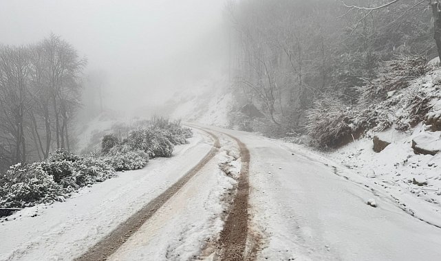 Erdek ilçesinde kar yağışı etkili oldu