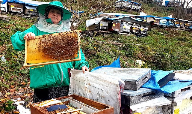 Genç yaşta babasını kaybedince ömrünü kardeşlerine adadı; arıcılık yapıp hepsini okuttu