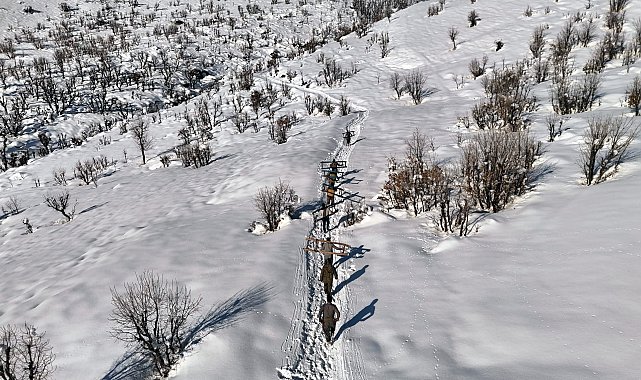 Hakkari'de besiciler karda kızakla hayvanlarına ot taşıyor