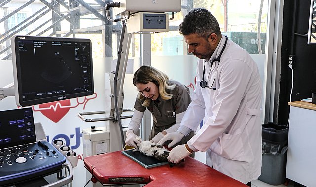 Hayvan hastaneleri 24 saat boyunca üst düzey ekipmanlarla hizmet veriyor