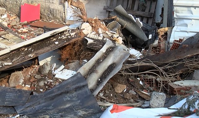 İstanbul - Maltepe'de kökünden kırılan ağaç park halindeki otomobilin üzerine devrildi