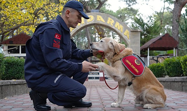 JAK köpeği 'Ocak', 8 yılda 48 can kurtardı