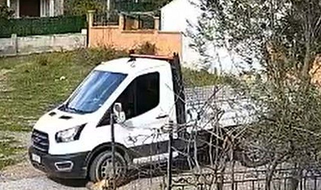 Kamyonetin üzerinden geçtiği köpek 'Meks' öldü; o anlar kamerada