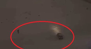 Karlı arazide otomobili ile drift yapan sürücü kamerada