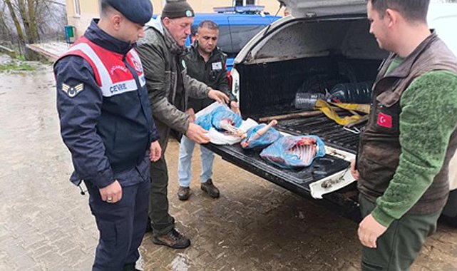 Kırklareli'de karaca avlayan kişiye 50 bin lira ceza
