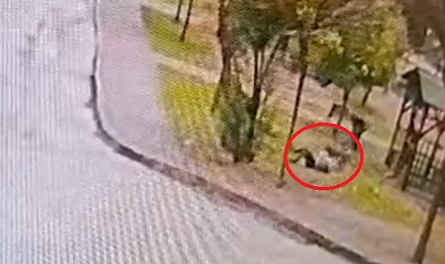 Sahipsiz 2 kurt köpeği, tasmayla gezdirilen evcil köpek ile sahibine saldırdı