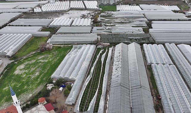 Seydikemer'de hortum, fırtına ve dolu seraları vurdu: 100 dönüm zarar