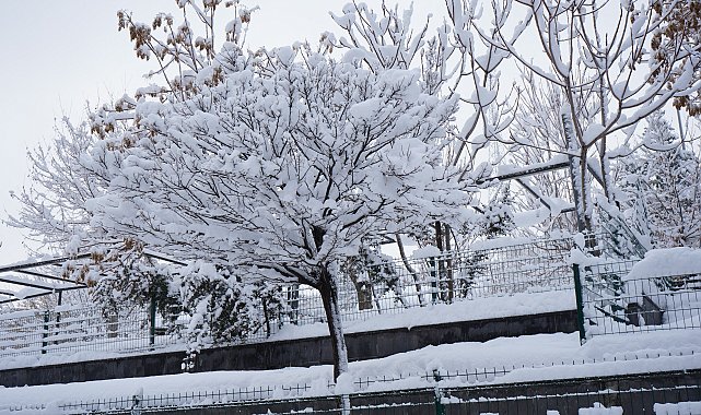 Şırnak'ta kardan 35 köy yolu kapandı, uçuşlar iptal edildi