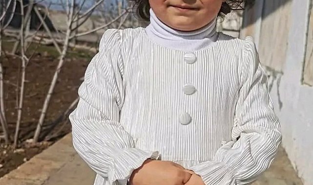 Sokak köpeklerinin saldırısına uğrayan Nazlı, ağır yaralandı