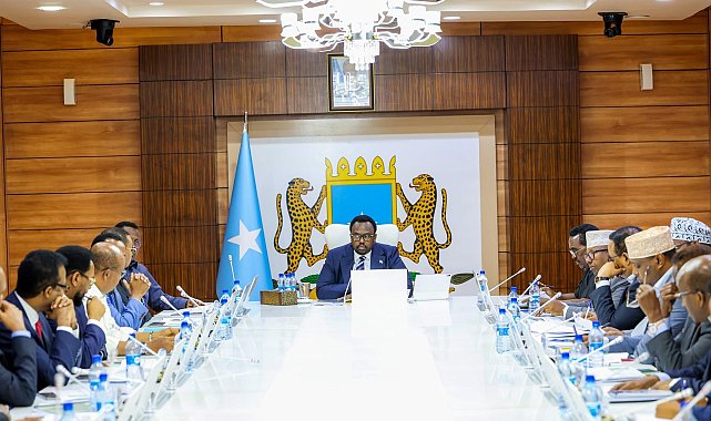 Somali, BAE ile güvenlik ve savunma alanındaki tüm anlaşmaları feshetti