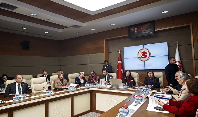 TBMM'de Suça Sürüklenen Çocuklara İlişkin Araştırma Komisyonu toplandı