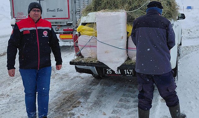Tipide mahsur kalan TIR'daki hayvanlara saman ve ot götürüldü