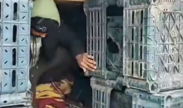 TIR'ın dorsesindeki kasaların arkasında 14 kaçak göçmen yakalandı
