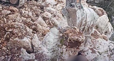 Üzerine çıktığı duvarın çökmesi sonucu kayaların altında kalıp öldü