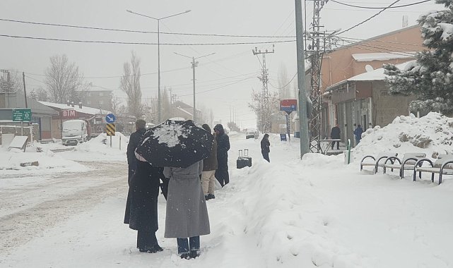 Van'da 90 yerleşim yerinin yolu kardan kapandı