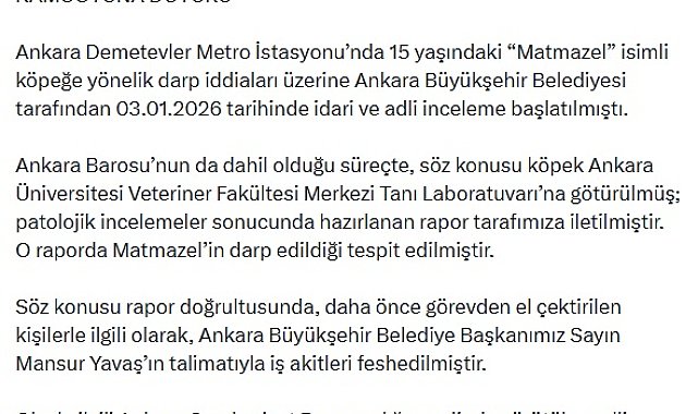 Veterinerlik fakültesi raporunda, 'Matmazel' isimli köpeğin darbedildiği tespit edildi