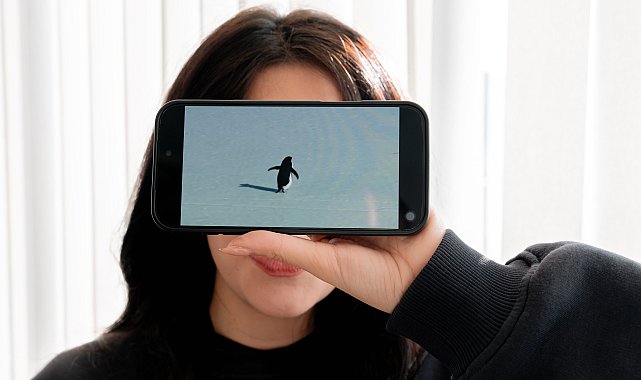 'Nihilist penguen'e kendi yalnızlığımızı yükledik'