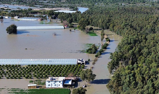 Antalya'da kuvvetli yağış 7 ilçede hasara neden oldu, mahsur kalan hayvanlar kurtarıldı