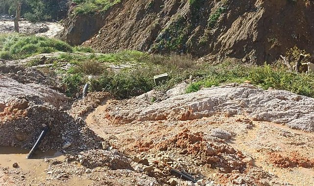Antalya'da kuvvetli yağış 7 ilçede hasara neden oldu, mahsur kalan hayvanlar kurtarıldı