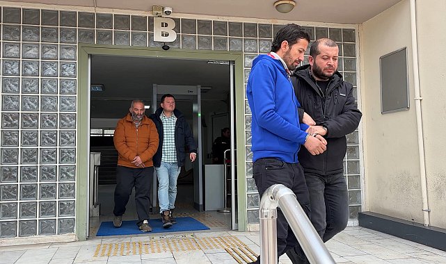 Aydın'da buzağı hırsızlığına 4 tutuklama