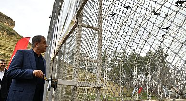 Bereket sembolü kafesteki 277 kelaynak doğaya salındı