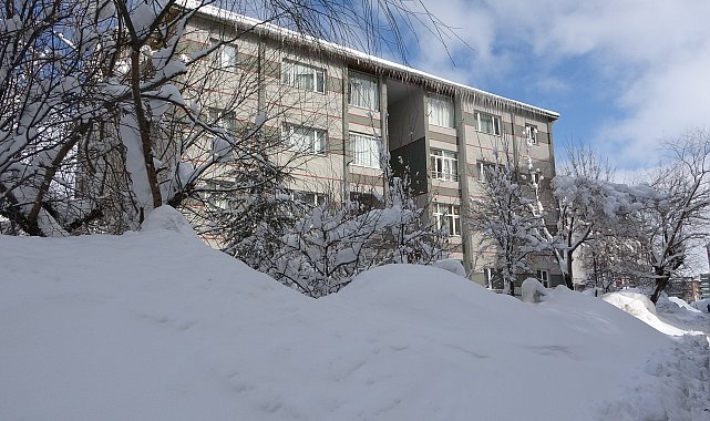 Bitlis'te kardan kapanan 254 köy yolu ulaşıma açıldı