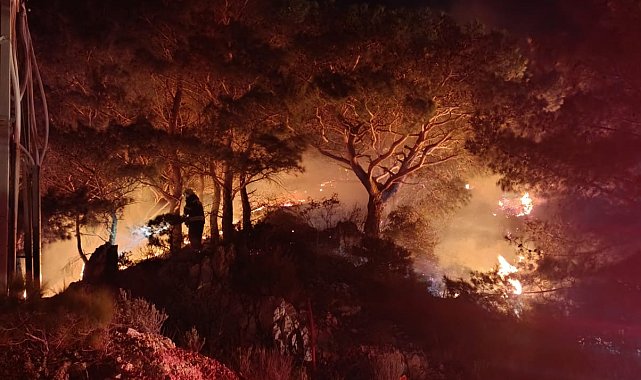 Bodrum'da ormanda çıkan yangın söndürüldü