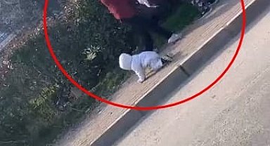 Bursa'da iki kadın dilencinin yanlarındaki bebeğe rağmen yer kavgası kamerada