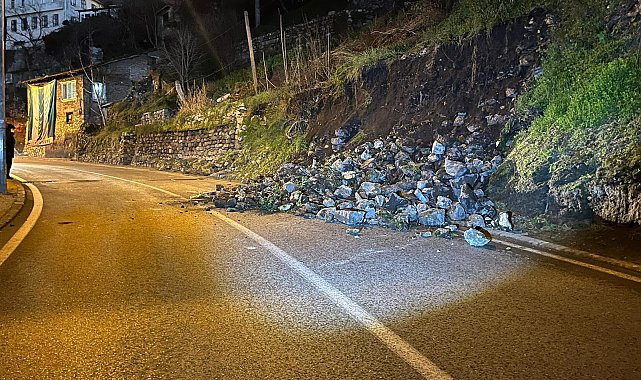 Bursa'da istinat duvarı çöktü; yol çift yönlü trafiğe kapatıldı