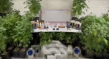 Bursa'da uyuşturucu operasyonu: 1 gözaltı