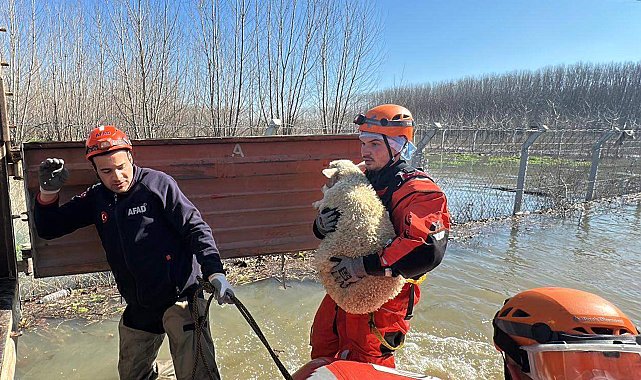 Edirne'de nehirlerin debileri arttı, köprüler trafiğe kapatıldı