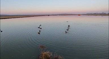 Edirne'de yasa dışı avlanan 4 avcıya 762 bin lira ceza