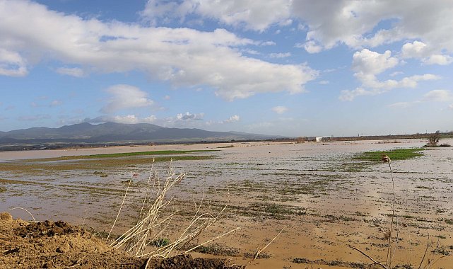 Irlamaz Çayı taştı, Turgutlu Ovası su altında kaldı