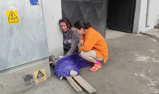 İstanbul - Beyoğlu'nda yangın sırasında dairede mahsur kalan kedi 'Sütlaç' için zamanla yarış